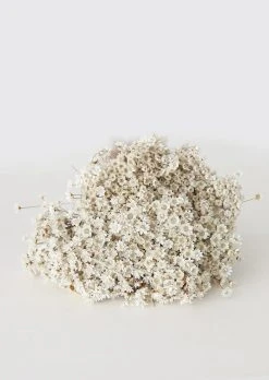 Natural Dried Star Flowers - 12-20"