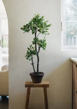 Faux Euonymus Japonicus Potted Tree Plant - 39.75"
