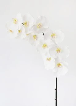 Large White Faux Orchids - 44"