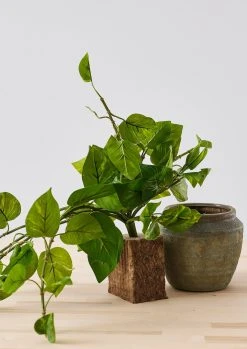 Reusable All Natural Agra-Wool Natural Floral Foam Brick - 8.5" -Afloral Sales Store AGRA WOOL 1 115 scaled