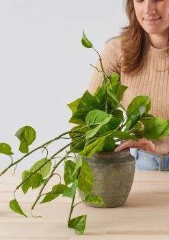 Reusable All Natural Agra-Wool Natural Floral Foam Brick - 8.5" -Afloral Sales Store AGRA WOOL 3 122 scaled