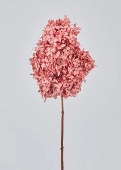 Preserved Cone Hydrangea Flower In Pink - 19.5-23"