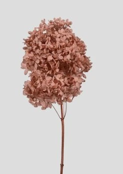 Rose Clay Preserved Cone Hydrangea Flower - 19.5-23.5"