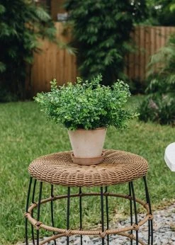 Bergs Julie Clay Pot With Drainage - 5" -Afloral Sales Store Afloral Outdoor Plants Styled July 2020 37