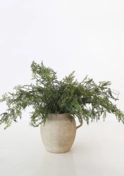 Artificial Baby's Tears Fern Branch - 36" -Afloral Sales Store Artificial Baby Tear Greenery in Pitcher 0b876c58 9811 4d52 829f 7e80a166d3a6