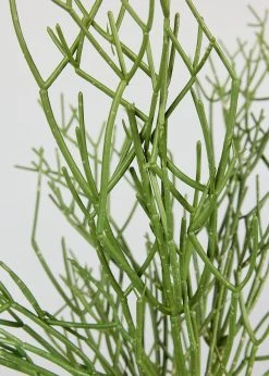 Artificial Pencil Cactus Plant - 24" -Afloral Sales Store Artificial Green Cactus Plant