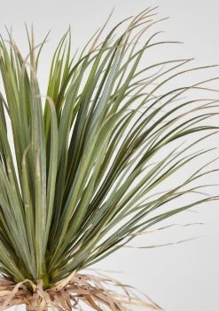 Faux Potted Palm Tree Plant In Cement Planter - 40" 6 Faux Potted Palm Tree Plant In Cement Planter - 40" -Afloral Sales Store Artificial Palm Tree Potted Plant in Closeup View