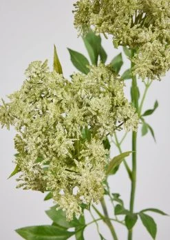 Faux Queen Anne's Lace Wildflowers - 36" 5 Faux Queen Anne's Lace Wildflowers - 36" -Afloral Sales Store Artificial Queen Anne s Lace