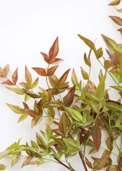 Artificial Nandina Leaf Branch - 39" 6 Artificial Nandina Leaf Branch - 39" -Afloral Sales Store ArtificialNandinaLeavesinRedGreen