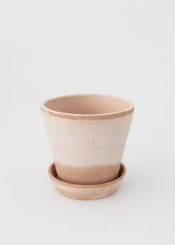 Bergs Julie Clay Pot With Drainage - 5"