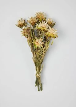 Bundle Of 6-8 Preserved Plumosum Flowers - 7-12"