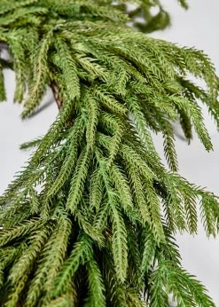 Afloral Real Touch Norfolk Pine Wreath - 24" -Afloral Sales Store Close Up of Greenery in Afloral Real Touch Norfolk Wreath