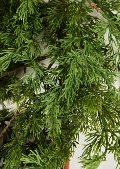 Fake Cedar Greenery Garland - 66” 12 Fake Cedar Greenery Garland - 66” -Afloral Sales Store Closeup View of Artificial Winter Cedar Greenery Garland