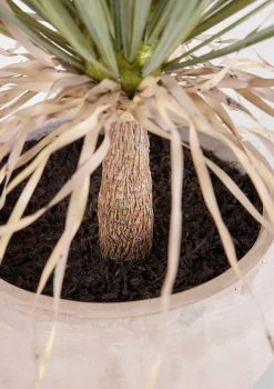 Faux Potted Palm Tree Plant In Cement Planter - 40" 7 Faux Potted Palm Tree Plant In Cement Planter - 40" -Afloral Sales Store Closeup of Pot and Soil in Artificial Palm Tree Plant
