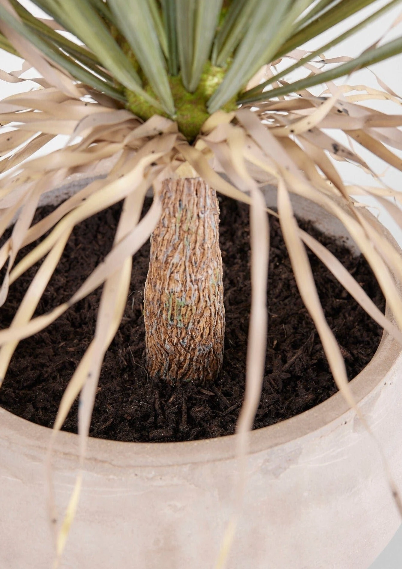Faux Potted Palm Tree Plant In Cement Planter - 40" 4 Faux Potted Palm Tree Plant In Cement Planter - 40" - Image 4