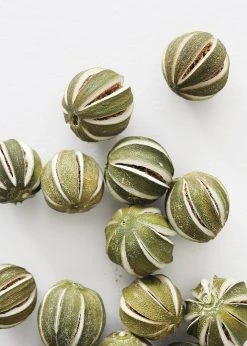 Bag Of 20-22 Natural Dried Limes - 1.75-2.25"