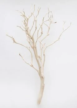 Dried Decor Natural Sandblasted Manzanita Branch - 34-38"