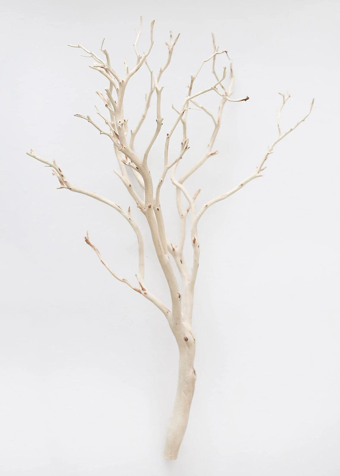 Dried Decor Natural Sandblasted Manzanita Branch - 34-38" 1 Dried Decor Natural Sandblasted Manzanita Branch - 34-38"