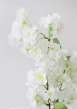 Front Page -Afloral Sales Store FSB079 CR Fake White Cherry Blossoms