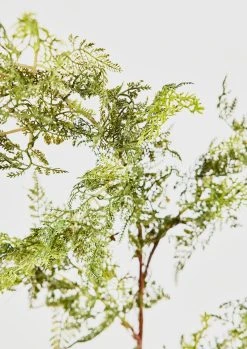 Artificial Baby's Tears Fern Branch - 36" -Afloral Sales Store Faux Greenery Babys Tears Fern Branch