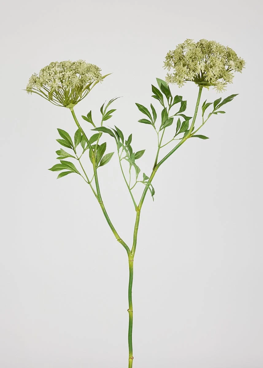Faux Queen Anne's Lace Wildflowers - 36" 1 Faux Queen Anne's Lace Wildflowers - 36"