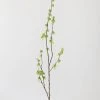 Artificial Branch With Green Buds - 40"