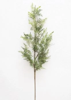 Artificial Baby's Tears Fern Branch - 36" -Afloral Sales Store HSF106 GR Baby Tear Fern 3022ae4d e45c 44fc 9932 85010b9971df