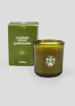 Ancient Agrigento Olive Tree Candle -Afloral Sales Store Hand Poured Scented Olive Tree Candle with Box