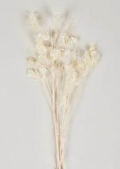 Natural Lunaria Dried Flower Bundle - 27.5"