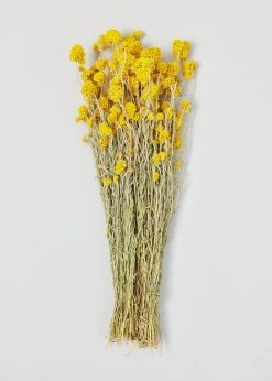 Yellow Dried Sanfordii Flowers - 18-22"