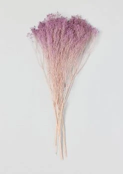 Lilac Preserved Broom Bloom Flower Bundle - 15-19"
