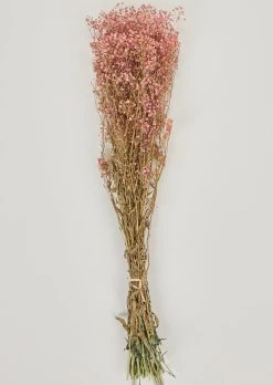 Pink Preserved Gypsophila Flower Bundle - 23-28.5"