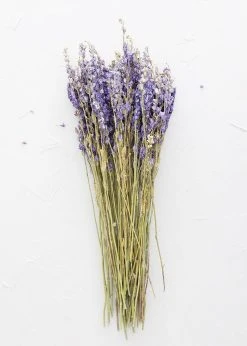 Purple Dried Larkspur Wildflowers - 20-24"