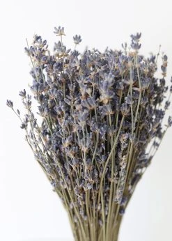 Natural Fragrant Dried Lavender Bundle - 6-14" -Afloral Sales Store LJF LAVENDER Dried Fragrant Lavender