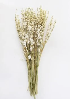 Cream Dried Larkspur Wildflowers - 23-26"