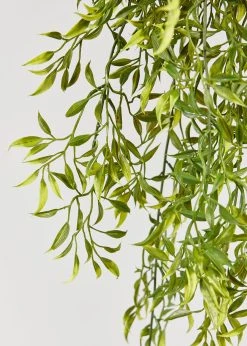 Natural Touch Ruscus Hanging Branch - 50" 7 Natural Touch Ruscus Hanging Branch - 50" -Afloral Sales Store Natural Touch Hanging Ruscus Plant