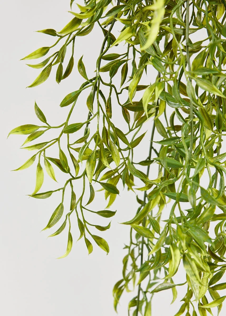 Natural Touch Ruscus Hanging Branch - 50" 4 Natural Touch Ruscus Hanging Branch - 50" - Image 4