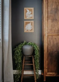 Natural Touch Ruscus Hanging Branch - 50" 6 Natural Touch Ruscus Hanging Branch - 50" -Afloral Sales Store Natural Touch Ruscus Hanging Plant