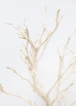 Dried Decor Natural Sandblasted Manzanita Branch - 34-38" 9 Dried Decor Natural Sandblasted Manzanita Branch - 34-38" -Afloral Sales Store NaturalManzanitaBranch