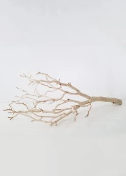 Dried Decor Natural Sandblasted Manzanita Branch - 34-38" 8 Dried Decor Natural Sandblasted Manzanita Branch - 34-38" -Afloral Sales Store NaturalManzanitaTreeBranchDecoration