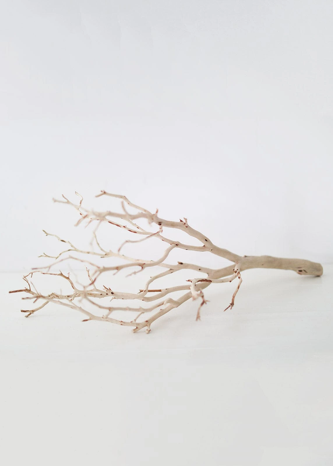 Dried Decor Natural Sandblasted Manzanita Branch - 34-38" 4 Dried Decor Natural Sandblasted Manzanita Branch - 34-38" - Image 4