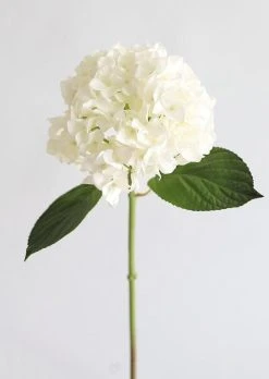 Real Touch Hydrangea In Talc White - 18"