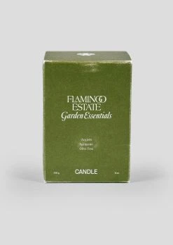 Ancient Agrigento Olive Tree Candle -Afloral Sales Store Olive Tree Candles Box