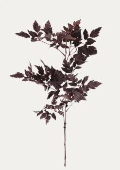 Plum Fake Cimicifuga Ramosa Leaves - 31"