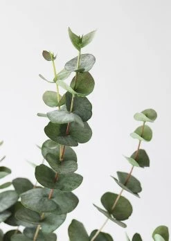 Green Grey Artificial Spiral Eucalyptus - 40" -Afloral Sales Store PSE039 GR GY Fake Greenery Spiral Eucalyptus