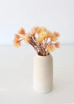 Dried Peach Silver Daisy Flowers - 10-13" -Afloral Sales Store PeachStrawflowersinHandmadeVase
