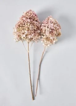 Light Mauve Pink Preserved Hydrangea Bundle - 16-20"