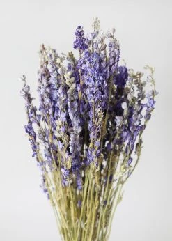 Purple Dried Larkspur Wildflowers - 20-24" -Afloral Sales Store Purple Larkspur Dried Flowers