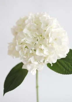 Real Touch Hydrangea In Talc White - 18" -Afloral Sales Store RealTouchFakeWhiteHydrangea