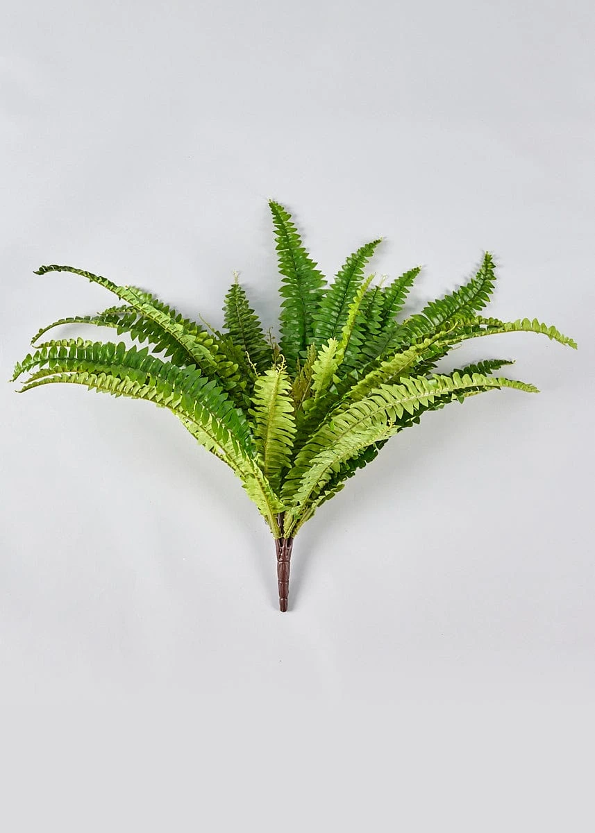 UV Treated Indoor/Outdoor Hanging Boston Fern Plant - 23" 1 UV Treated Indoor/Outdoor Hanging Boston Fern Plant - 23"